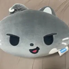 ENCHIN エンチン ジョンウォン ウォンチュ フェイス クッション - メルカリ