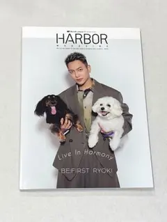 HARBOR MAGAZINE RYOKI リョウキ 表紙号　美品
