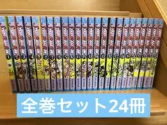 ジョジョの奇妙な冒険7部　全巻セット（全24巻）　スティール・ボール・ラン