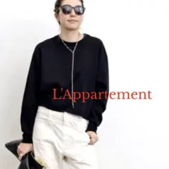 ☆L'Appartementアパルトモン☆コットンナイロン シアーリブニット新品 アパルトモンLAppartment コットンナイロンシアーリブニット - メルカリ