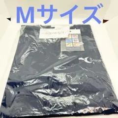 ★スターゲート★様 リクエスト 2点 まとめ商品