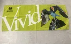 Item thumbnail for item d74defdb-9a47-4745-a7d0-d5b4b89fa74c