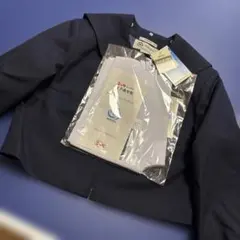 Item thumbnail for item 4760155a-6005-4205-b85c-33d2c576e51d