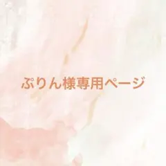 【ぷりん様専用ページ】