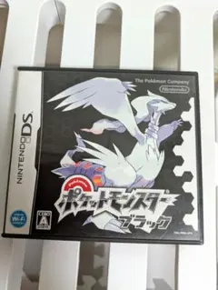 ポケットモンスター ブラック 外箱付き