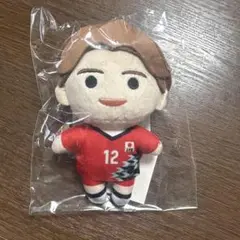 琴羽 石川祐希 高橋藍 ぬいぐるみキーホルダー 琴羽様専用 石川祐希 高橋藍 ぬいぐるみキーホルダー - メルカリ