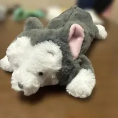 ピノキオ　フィガロペンケース　ディズニーストア