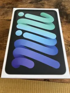 箱のみ　iPad mini (第6世代) Cellular 256GB