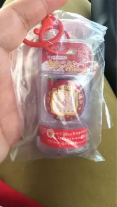 カプセルトイ・ガチャガチャ キーホルダー付き