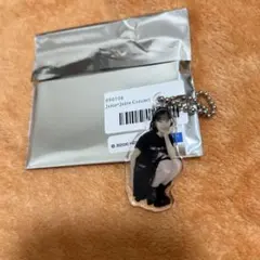 江端妃咲　コレクションミニアクリルキーホルダー　fsk