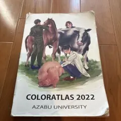 2026年最新】カラーアトラス 麻布の人気アイテム - メルカリ