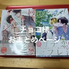 チョコ様専用ページ