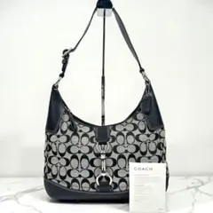 Coach Signature Hobo Shoulder Bag Black