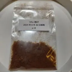 kanyo-sin-222様 リクエスト 2点 まとめ商品