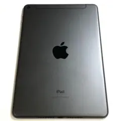 2026年最新】IPad mini 5 64gb セルラーの人気アイテム - メルカリ