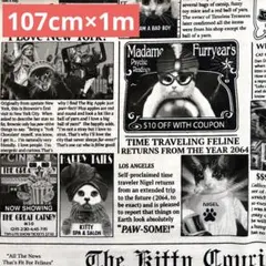 Item thumbnail for item 94320c55-438d-4ea4-9537-8c00caa54212