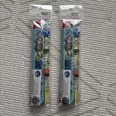 Skater パウパトロール スライド箸　こども　お弁当