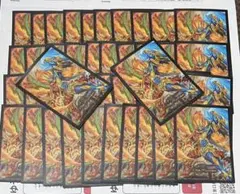 【アドバンス環境】モルトネクスト モルネク NEXT 中古スリーブ付き アドバンス環境】モルトネクスト モルネク NEXT 中古スリーブ付き