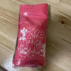 Disney Mickey and Minnie ディズニースクールバッグ 新品
