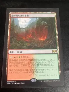 2025年最新】踏み鳴らされる地の人気アイテム - メルカリ