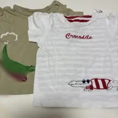 petit main ワニTシャツセット