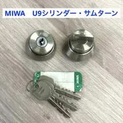 Item thumbnail for item f6011be7-dfc4-4a4b-b5ad-a7805c42eef1