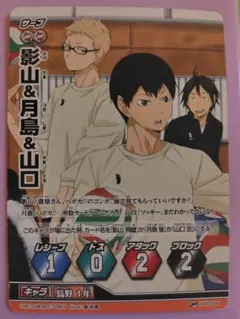 トレーディングカードゲーム「ハイキュー!! バボカ!!」のプロモーションカード