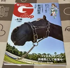 週刊ギャロップ 2026年8月30日号　新潟記念　中京２歳S