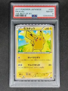 ライオン様 リクエスト 2点 まとめ商品