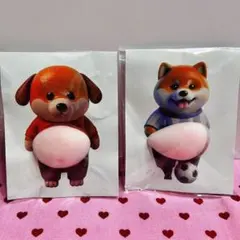 【訳あり】ぷにぷにおなかシール　柴犬　スクイーズ　2枚セット　おへそ犬　匿名配送