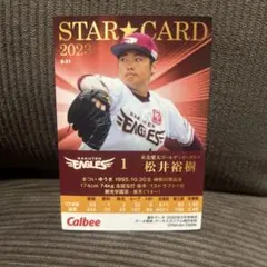 Item thumbnail for item 6dc0955b-6eb8-4878-8333-bdac2a17bf22