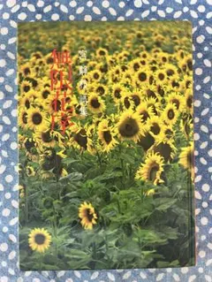【中古】 幻華 倉橋羊村句集/角川書店/倉橋羊村 幻華 : 倉橋羊村句集 - メルカリ