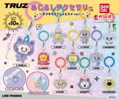 TREASURE TRUZ めじるしアクセサリー WOOPY