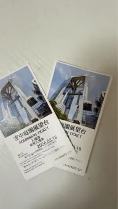 空中庭園展望台 入場券 2枚セットのサムネイル