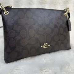 COACH レザー ショルダーバッグ ブラウン/ブラック F76646