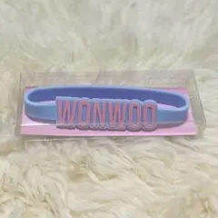 2025年最新】seventeen ペンライト アクセサリーの人気アイテム