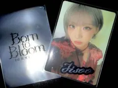 HANA ジス 公式フォトカード・ステッカー セット borntobloom