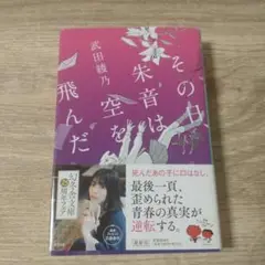 その日、朱音は空を飛んだ