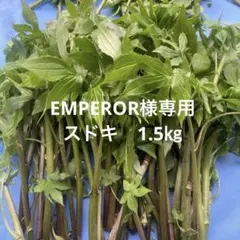 EMPEROR様　専用　スドキ　1.5㎏