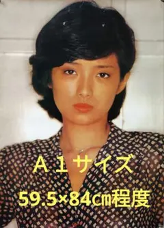 山口百恵　非売品　大判写真 Yahoo!オークション - 激レア 山口百恵さん/CBSソニー 非売品写真集(29