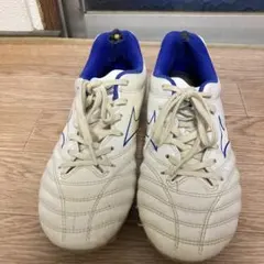 モナルシーダネオ2セレクト　Jr