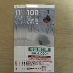 【トツ様専用】札幌国際スキー場　割引券　2枚