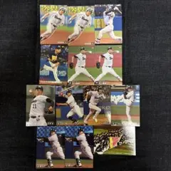 プロ野球チップスカード 東京ヤクルトスワローズ