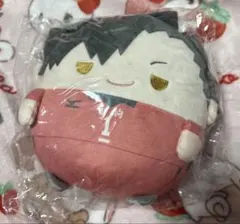 ハイキュー ぬいくじ くじメイト C賞 ふわコロりん Mサイズ 黒尾鉄朗