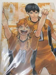 ハイキュー!! クリアファイル 烏野 日向翔陽 影山飛雄 2枚セット