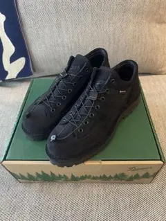 DANNER FIELD LOW SUEDE GORE-TEXのサムネイル