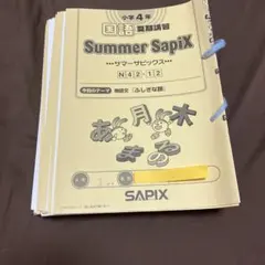 2026年最新】サピックス 4年 夏期講習の人気アイテム - メルカリ