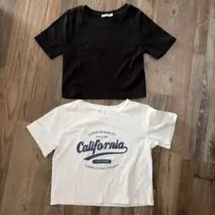 レディース　ショート丈　半袖Tシャツ　２点セット！
