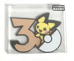 ピカチュウ マグネット 30周年 中国限定 ポケモン - メルカリ