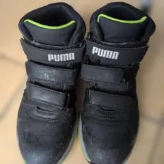 puma
